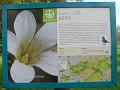 Wandeling 22-10-2017 (23)